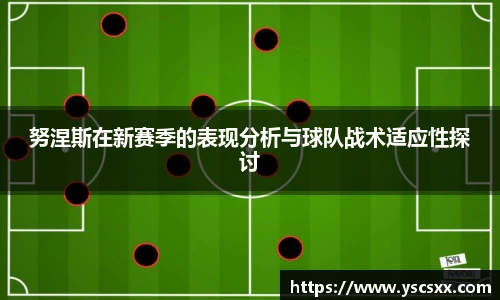 Mk Sports努涅斯在新赛季的表现分析与球队战术适应性探讨